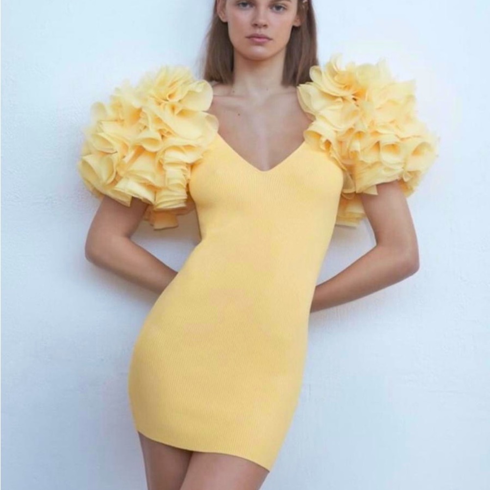 Zara dress